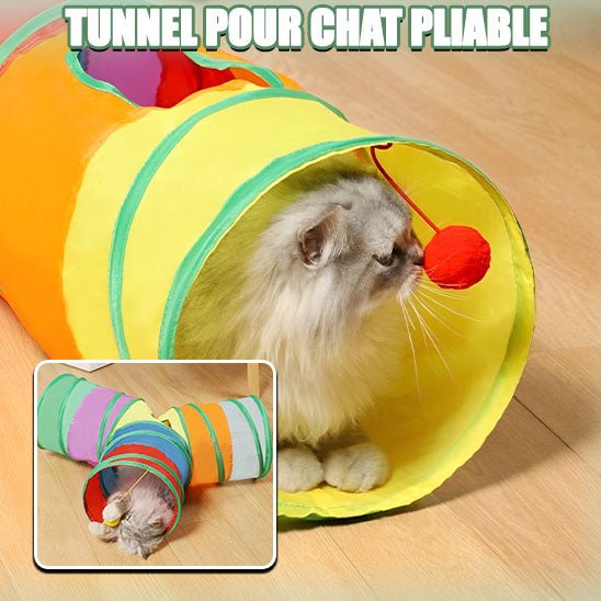 fun tunnel™ - Amant des chats