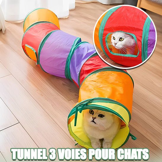 fun tunnel™ - Amant des chats