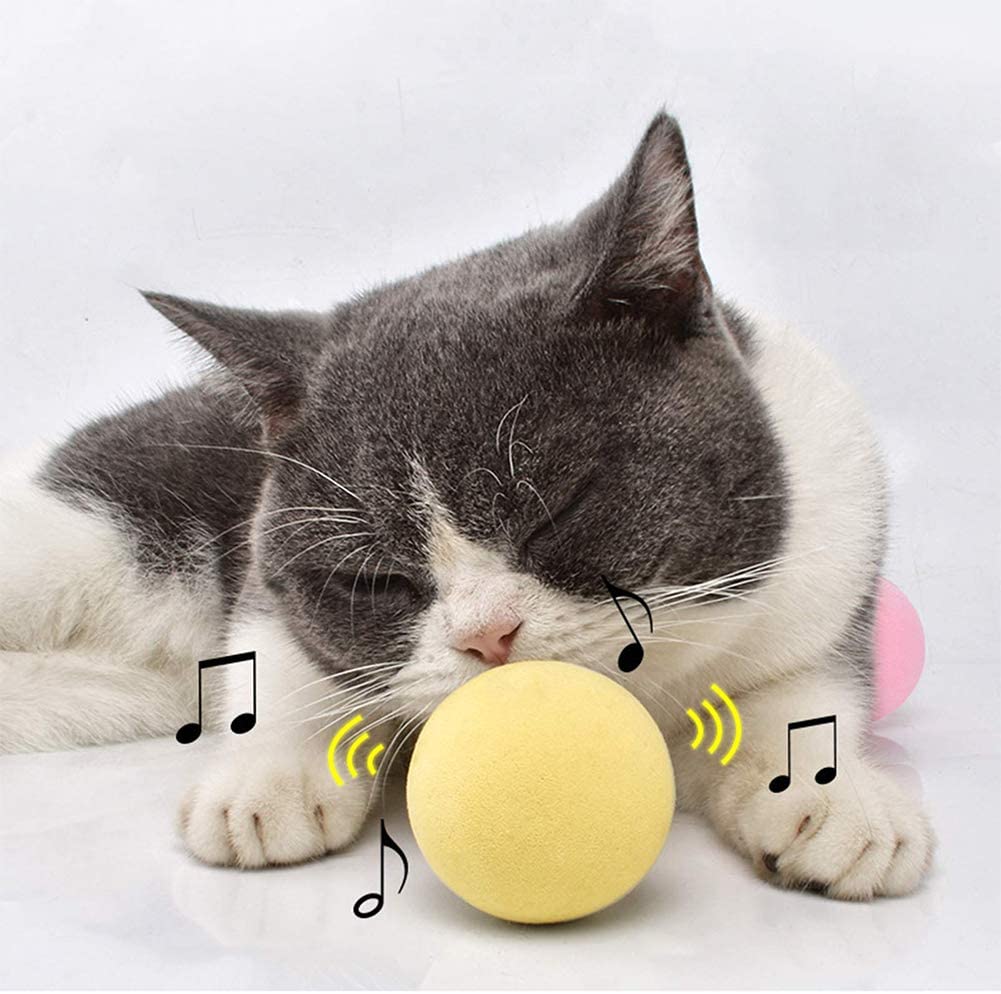 SmartBall™ - Balle intelligente d'apprentissage pour chat - Amant des chats