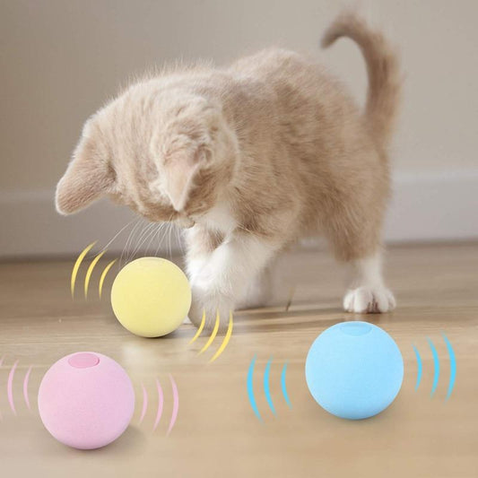 SmartBall™ - Balle intelligente d'apprentissage pour chat - Amant des chats