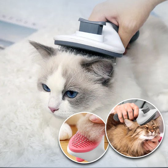 Toilettage relaxant/Grooming brush™ - Amant des chats