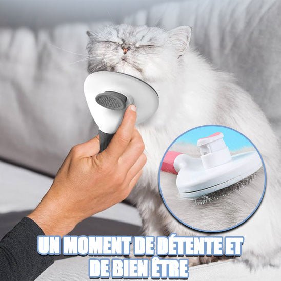 Toilettage relaxant/Grooming brush™ - Amant des chats